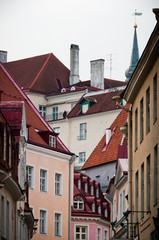 Scandinavian houses and roofs