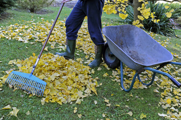 Gartenarbeit_7430