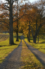 A beautiful country road on an autumn day