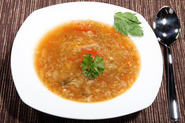 Suppe serviert mit Petersilie garniert Nahaufnahme