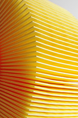 Air filter detail
