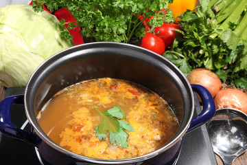 Topf mit Suppe und frischem Gemüse Nahaufnahme