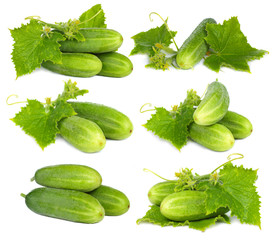 Green cucumber vegetable on white background - set