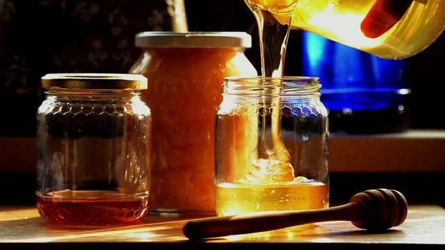 Miele liquido wild honey