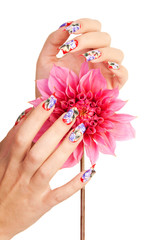 NAILS AND FLOWER