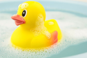 Bath time and rubber duck on foam