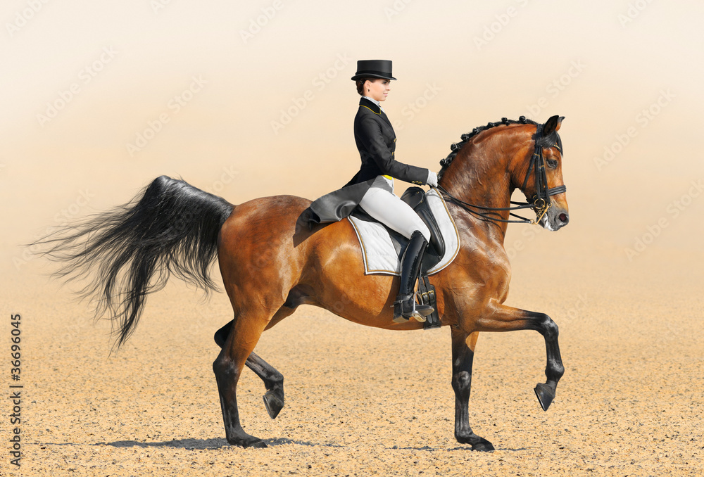 Canvas Prints Equestrian sport - dressage