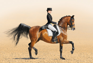 Equestrian sport - dressage - 36696045