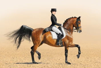Foto op Canvas Equestrian sport - dressage © Kseniya Abramova