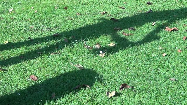 video holzhacken III