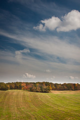 Fototapeta premium vista