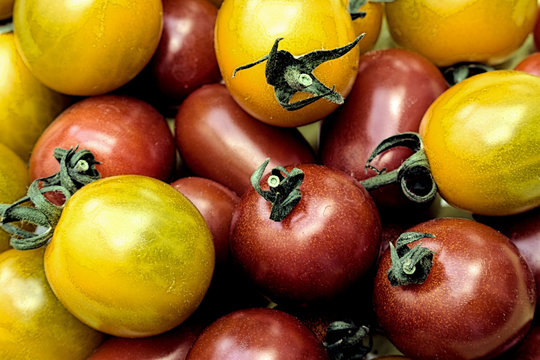 Tomaten