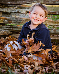 Fall or autumn portrait of young, preschooler boy