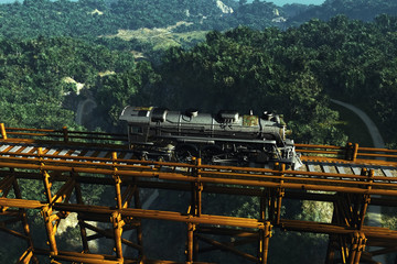 Naklejka premium The train