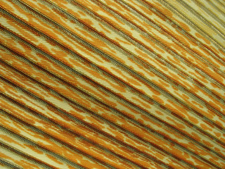 Yellow multicolored striped relief fabric background