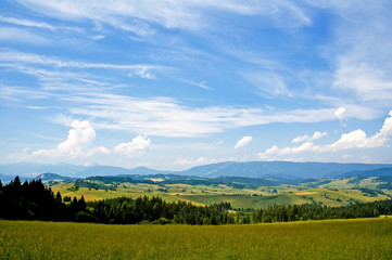 Panoramic view of a summer hilly countryside