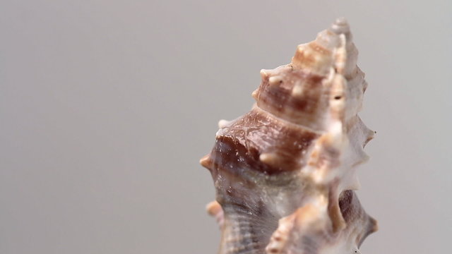 stand-alone object