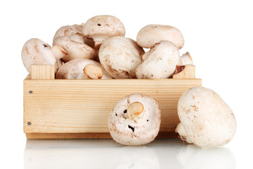 fresh mushrooms in a wooden box isolated on white