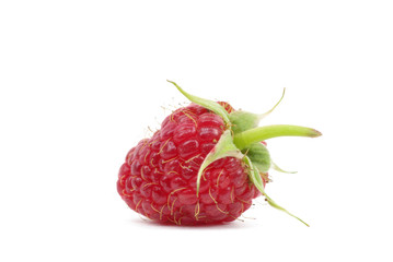 raspberry