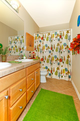 Bathroom with green rug, double sinks and bright shower curtain