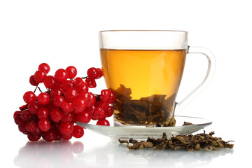 Green tea  with red viburnum in glass cup isolated on white