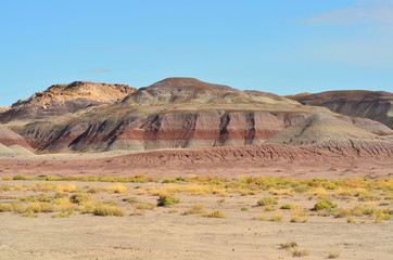 The Painted Desert