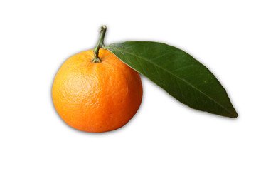 Clementine fruit