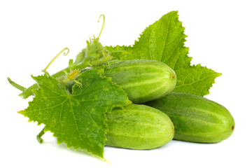 Cucumber isolated on white