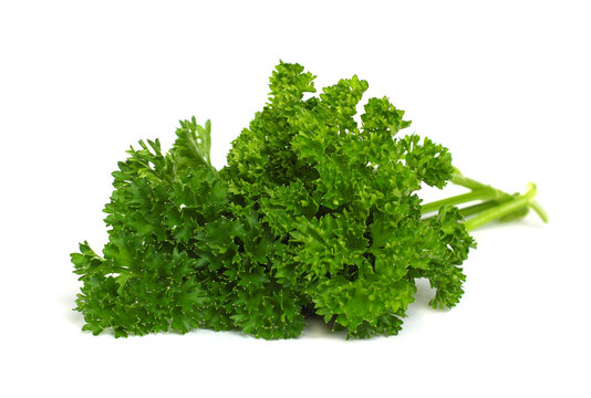 Fresh Herbs - green parsley isolated on white