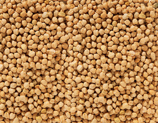 Tasty Hazelnuts Background
