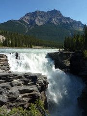 Fototapeta na wymiar Athabasca Falls