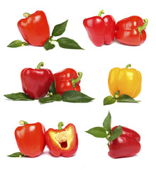 Red pepper with leaves isolated on white background