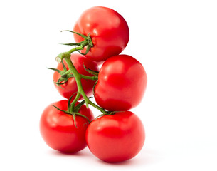 tomatoes