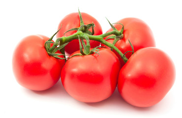 tomatoes