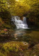 Fototapeta na wymiar Waterfall flowing through Autumn Fall forest landscape
