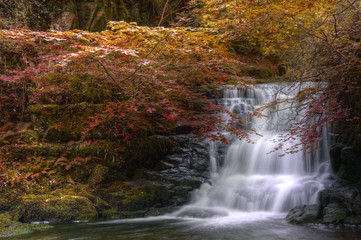 Waterfall flowing through Autumn Fall forest landscape