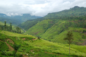 The landscape of Nuwara Eliya, Sri Lanka