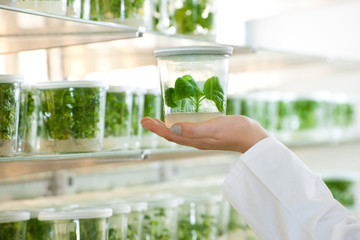 laboratory with plants