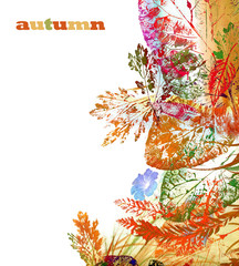 Painting Collection : Autumn