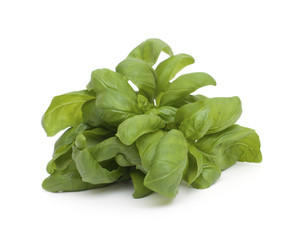 springs of fresh basil