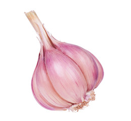 Fresh garlic