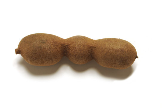 Tamarindus - 4