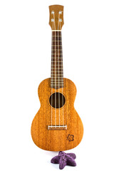 Obraz na płótnie Canvas rocznika ukulele