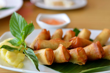 spring rolls