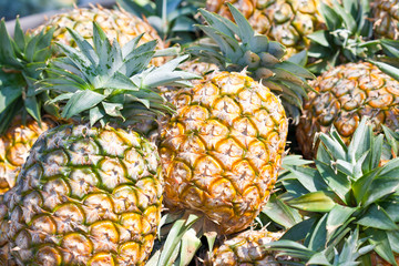 pile of pineapple