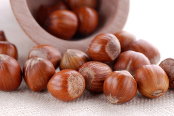 nocciole - sette