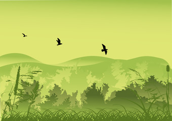 Naklejka na ściany i meble three birds above green forest
