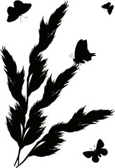 black grass and butterflies on white