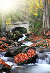 autumn creek in Czech Republic