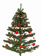 Weihnachtsbaum